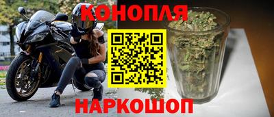 стафф Камышлов