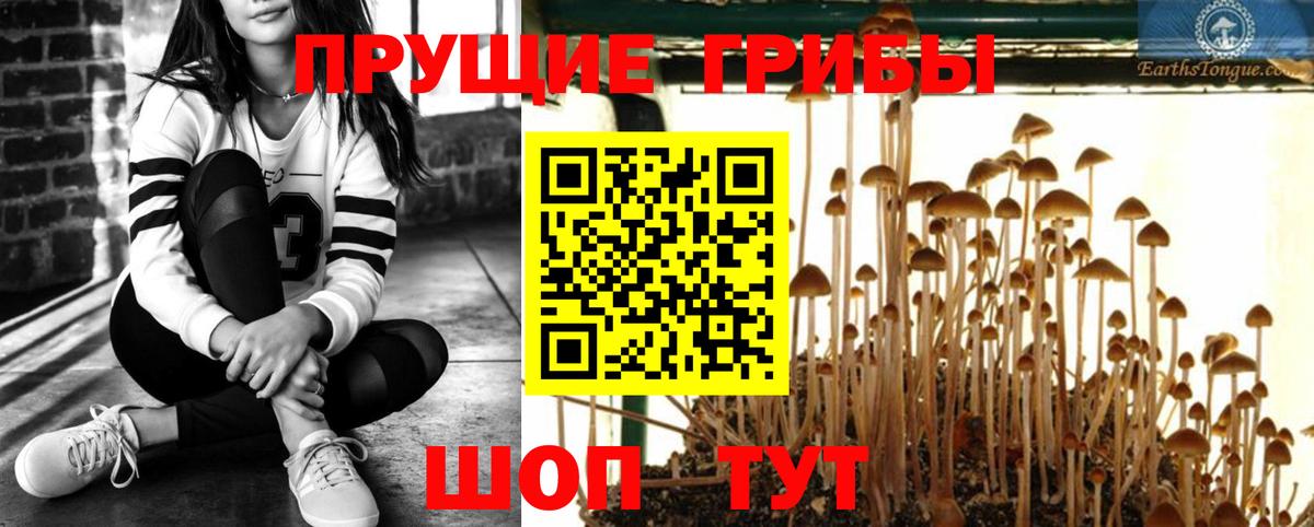 Красноуфимск  Псилоцибиновые грибы Magic Shrooms  Вход с VPN 